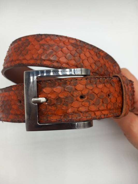 ceinture en python